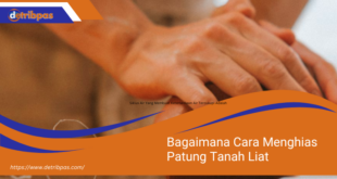 Bagaimana Cara Menghias Patung Tanah Liat