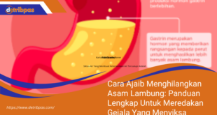 Cara Ajaib Menghilangkan Asam Lambung Panduan Lengkap Untuk Meredakan Gejala Yang Menyiksa