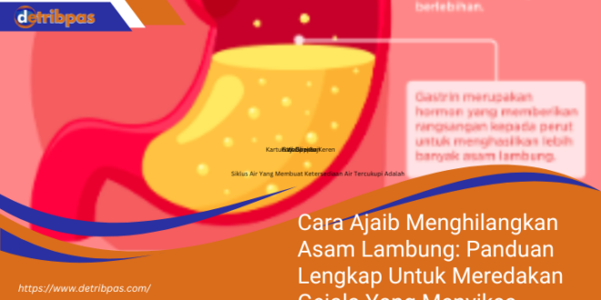 Cara Ajaib Menghilangkan Asam Lambung Panduan Lengkap Untuk Meredakan Gejala Yang Menyiksa