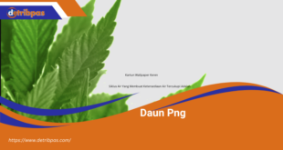 Daun Png