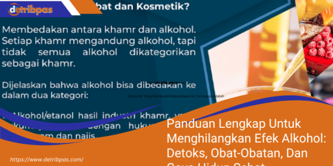 Panduan Lengkap Untuk Menghilangkan Efek Alkohol Detoks Obat Obatan Dan Gaya Hidup Sehat