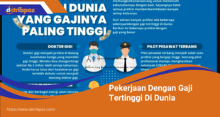 Pekerjaan Dengan Gaji Tertinggi Di Dunia