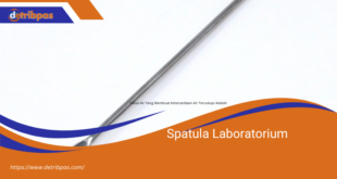 Spatula Laboratorium