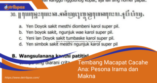 Tembang Macapat Cacahe Ana Pesona Irama dan Makna