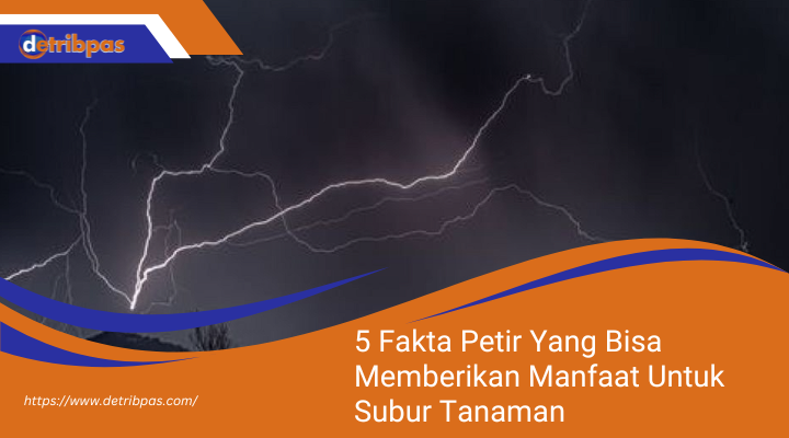 5 Fakta Petir