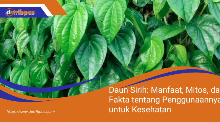 Daun Sirih: Manfaat, Mitos, dan Fakta tentang Penggunaannya untuk Kesehatan