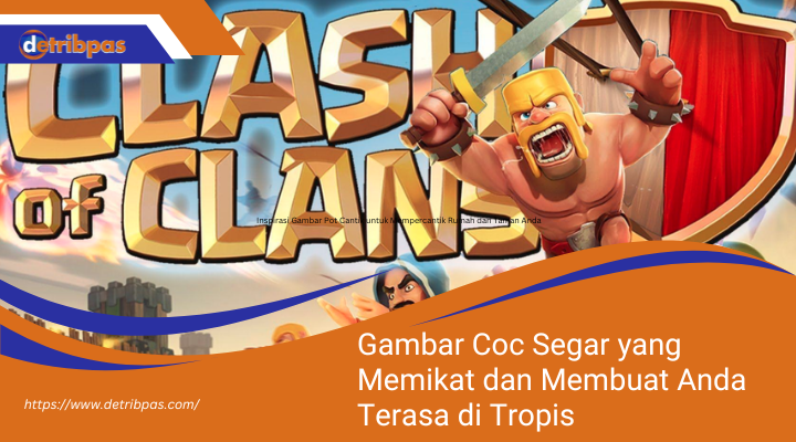 Gambar Coc Segar yang Memikat dan Membuat Anda Terasa di Tropis