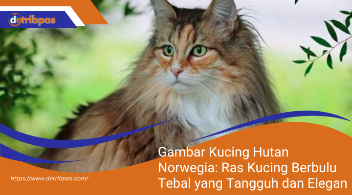 Kucing Hutan Norwegia: Ras Kucing Berbulu Tebal yang Tangguh dan Elegan