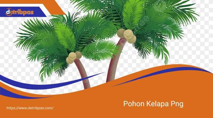 Pohon Kelapa Png