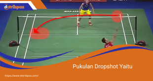 Pukulan Dropshot