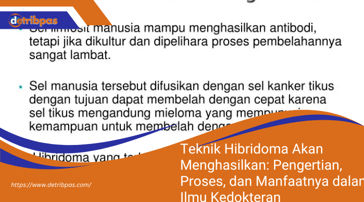 Teknik Hibridoma Akan Menghasilkan: Pengertian, Proses, dan Manfaatnya dalam Ilmu Kedokteran