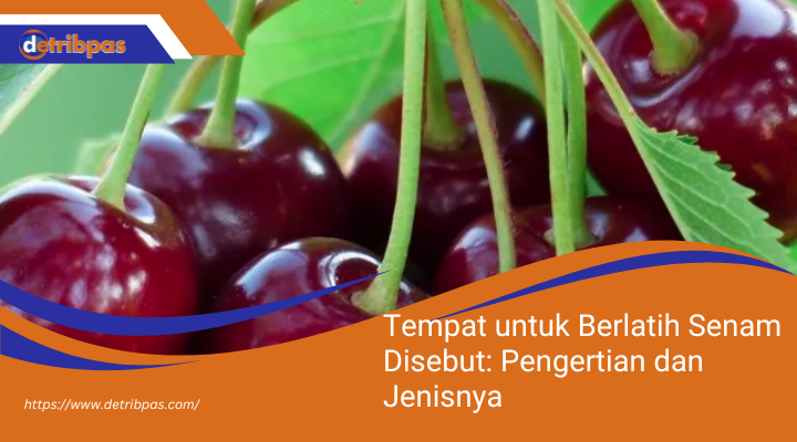 Tempat untuk Berlatih Senam Disebut: Pengertian dan Jenisnya